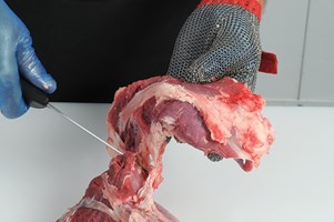 Meat Cut Spec Step 4